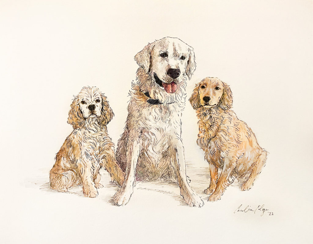 Drawing of the first dogs in the Robyn’s Nest Mini Golden Line