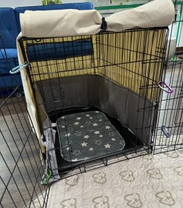 Kennel with cream canvas cover with bumpers to deter chewing