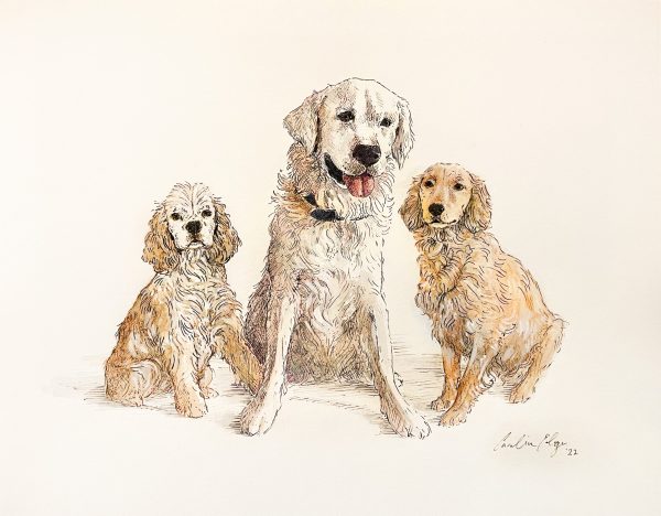 Drawing of the first dogs in the Robyn’s Nest Mini Golden Line by Caroline Edge Illustrations