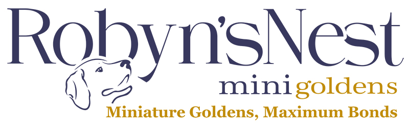 robyn's nest mini goldens logo